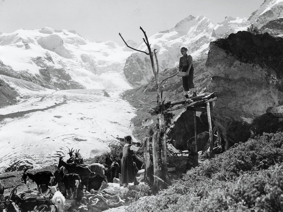 Peter steht auf einem Gerüst aus Baumstämmen und wacht über die Ziegen. Heidi steht unter ihm neben der Ziegenherde. Im Hintergrund erstreckt sich ein Gletscher.