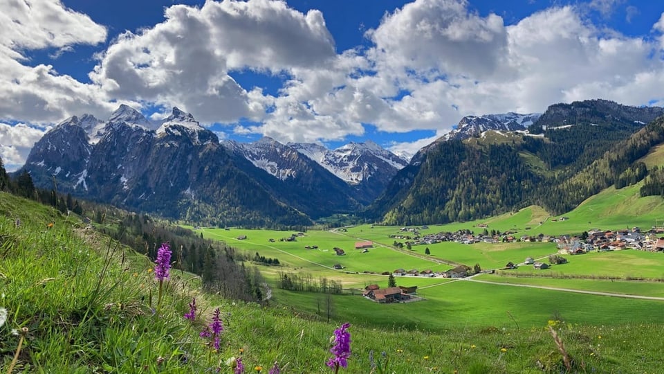 Blick über Wiese ins Tal und an Berge. Am Himmel einige Quellwolken.