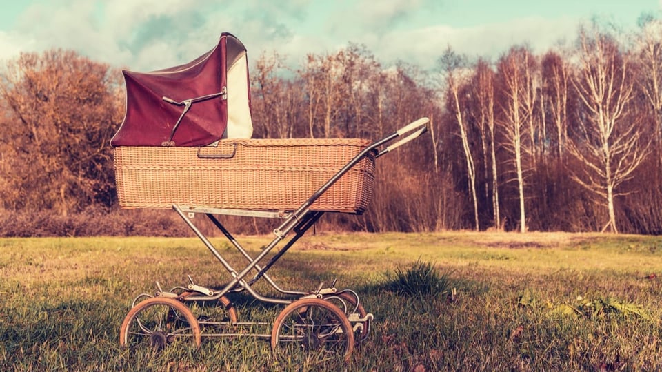 Pussetli Kinderwagen im Feld.