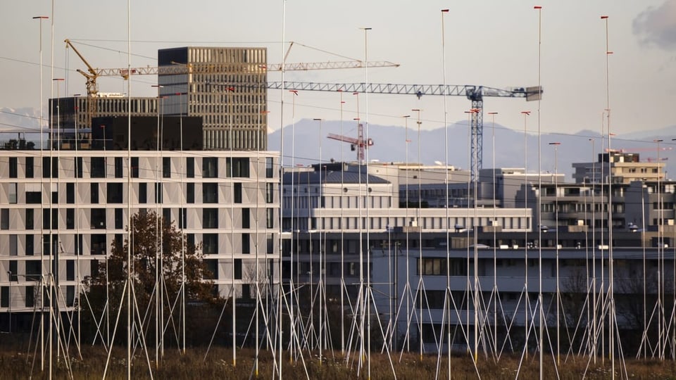 Von den untersuchten Städten ist der Mietzins in Zürich am meisten gestiegen. Hier ein Bauprofil Seebach.