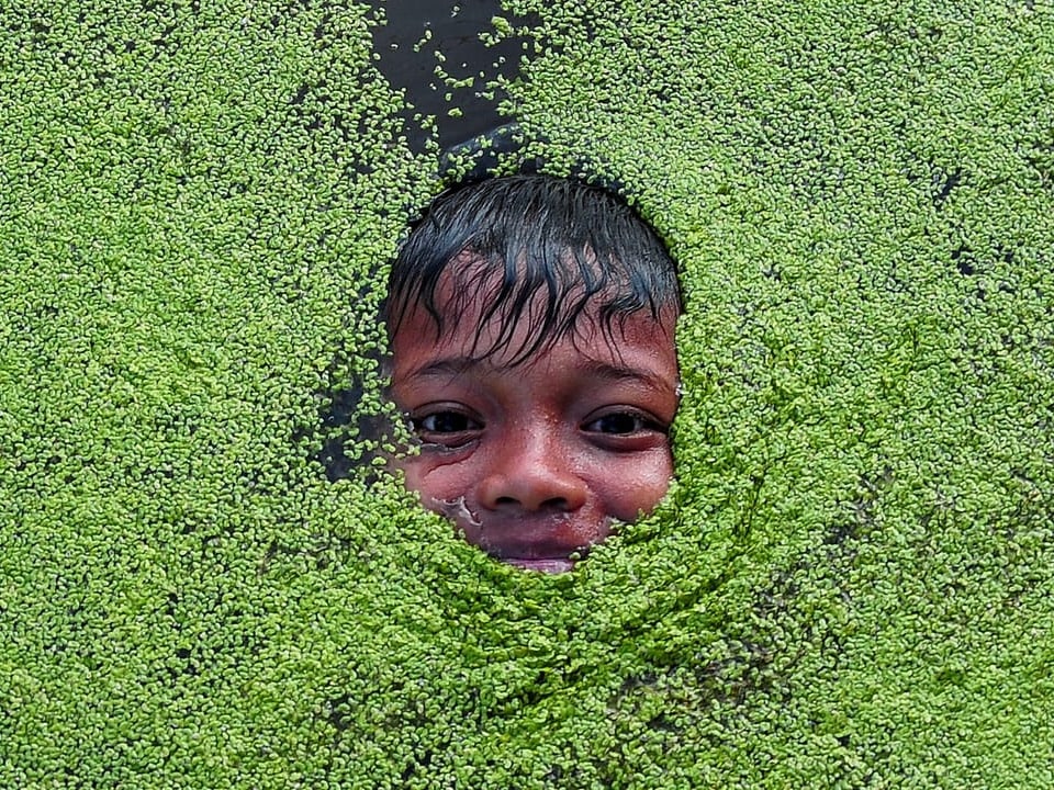 Ein Junge hält sein Gesicht aus dem Wasser. Die Wasseroberfläche ist voll mit grünen Pflanzen.