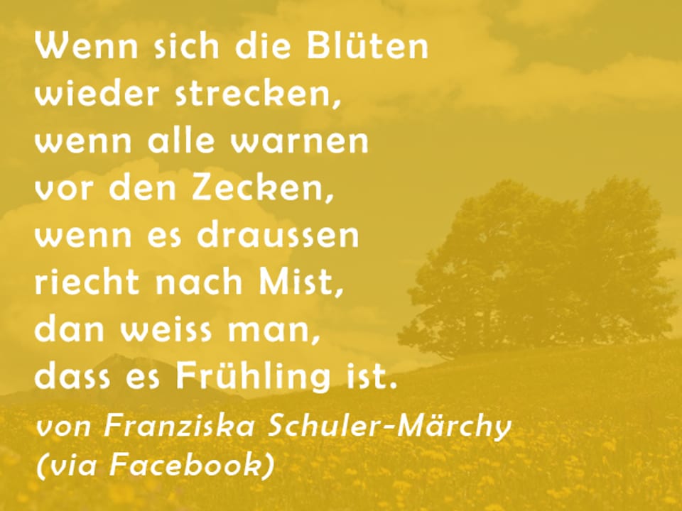 Von Fanziska Schuler-Märchy: Wenn sich die Blüten wieder strecken/wenn alle warnen vor den Zecken/wenn es draussen riecht nach Mist/dann weiss man, dass es Frühling ist.