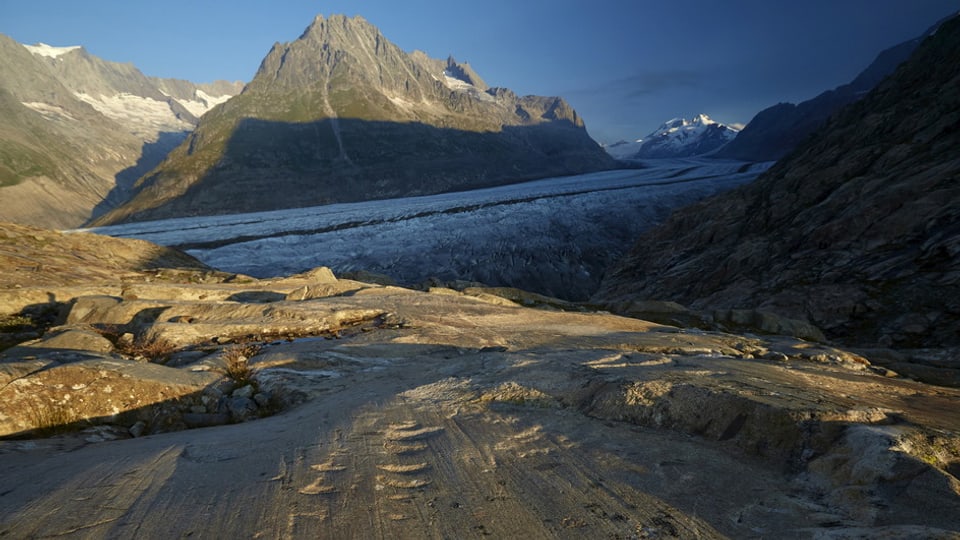 Umfrage zeigt Zweifel Wer ist schuld am Klimawandel? News SRF