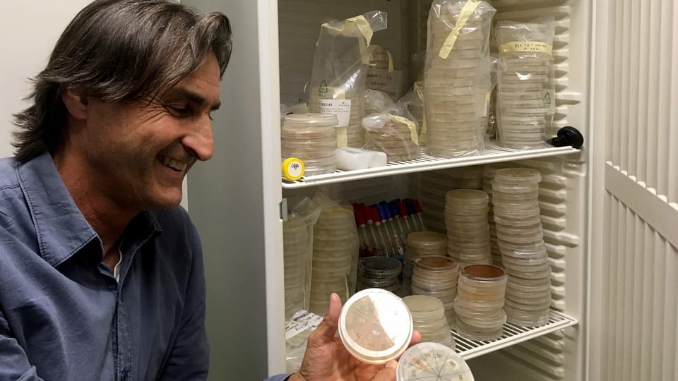 Ein Mann mit dunklen Haaren, blauem Hemd steht vor einem Kühlschrank und hält zwei Petrischalten in den Händen.