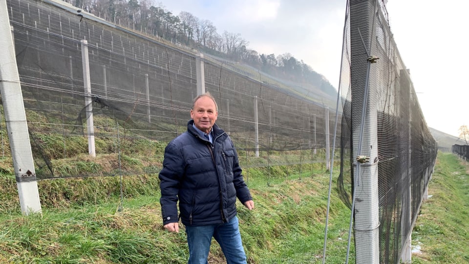 Christian Herzog ist stolz auf seinen neu terrassierten Rebberg in Thal im Kanton St. Gallen.