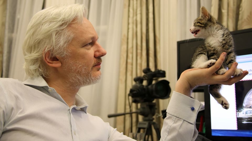 Julien Assange & Büsi