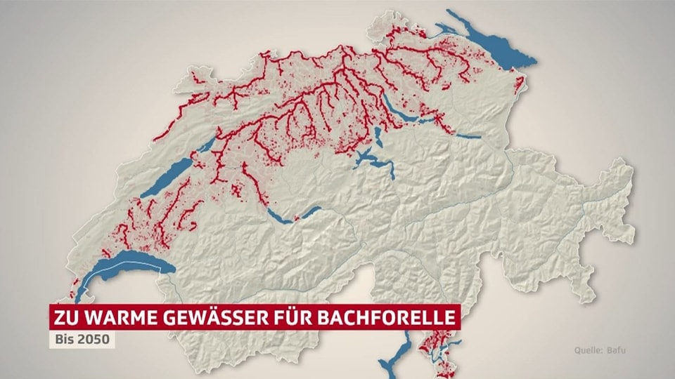 Grafik mit Schweizer Karte. Die Flüsse im Mittelland sind rot eingefärbt.