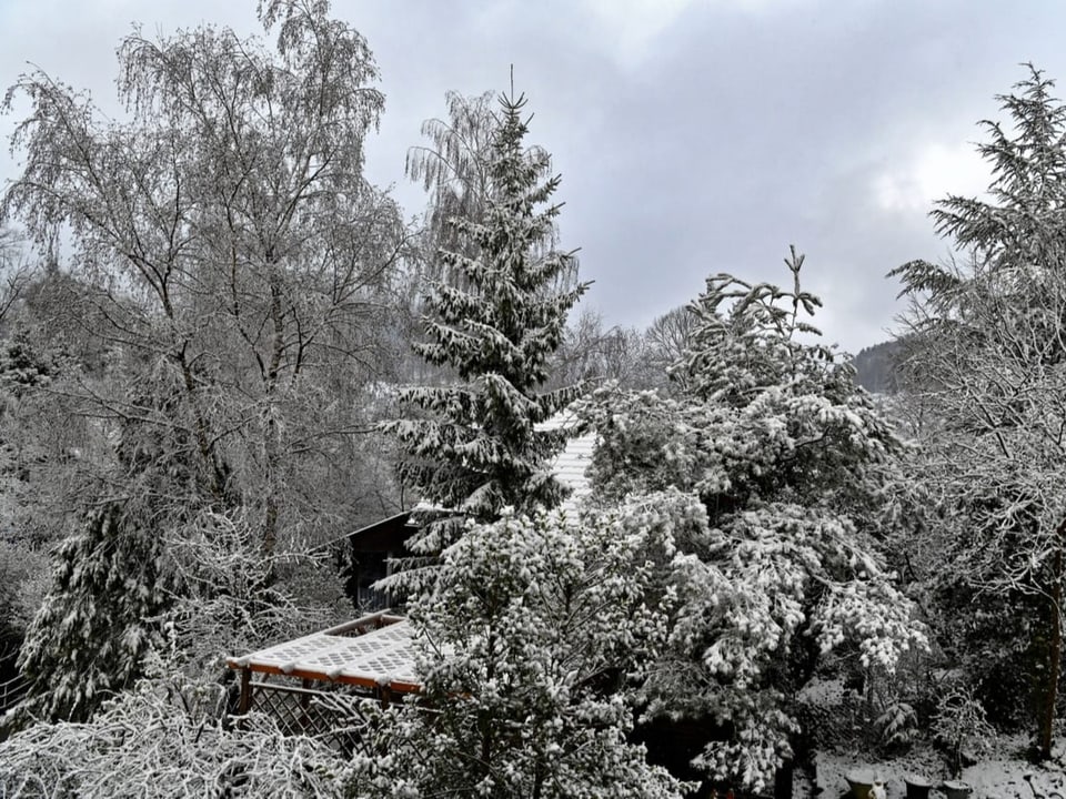Wintereinbruch in Bretzwil