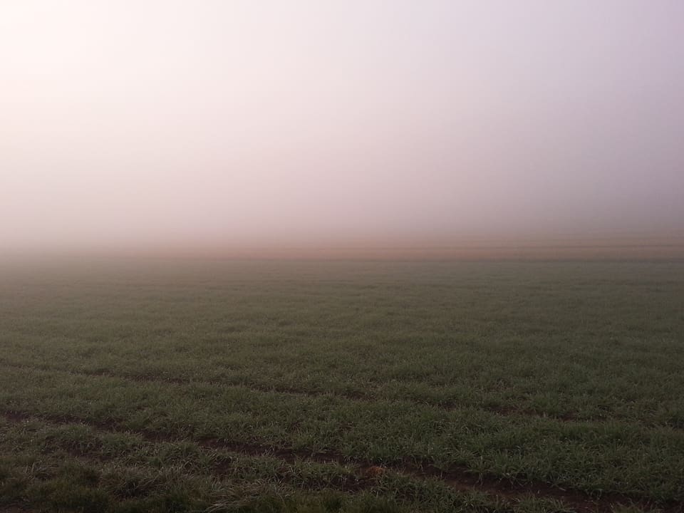Eine grüne Wiese und Nebel.