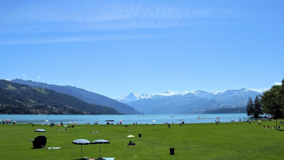 Blick auf Thunersee mit Badewiese im Vordergrund.
