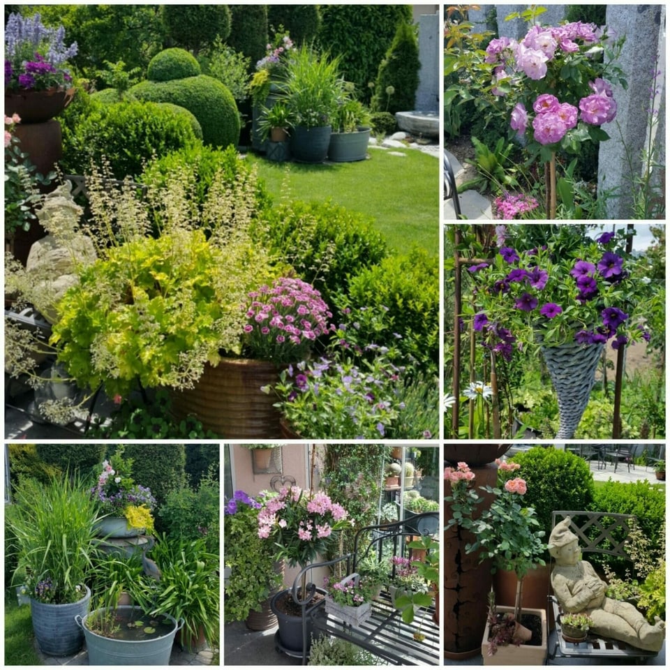 Collage an bunten Pflanzen. 