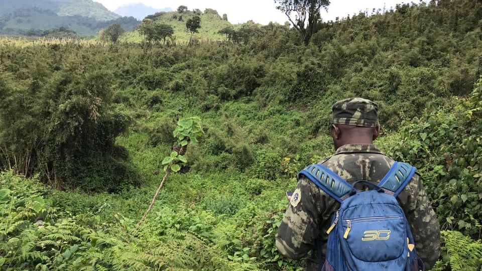 Das Bild zeigt eine offene pure Naturlandschaft, und im Vordergrund ein Förster in Camouflage-Kleidung und -mütze.