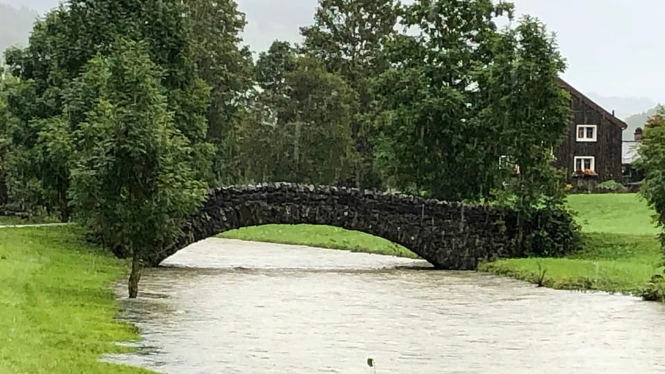 Eine Brücke bei Unterwasser über die Thur, welche Hochwasser führt.