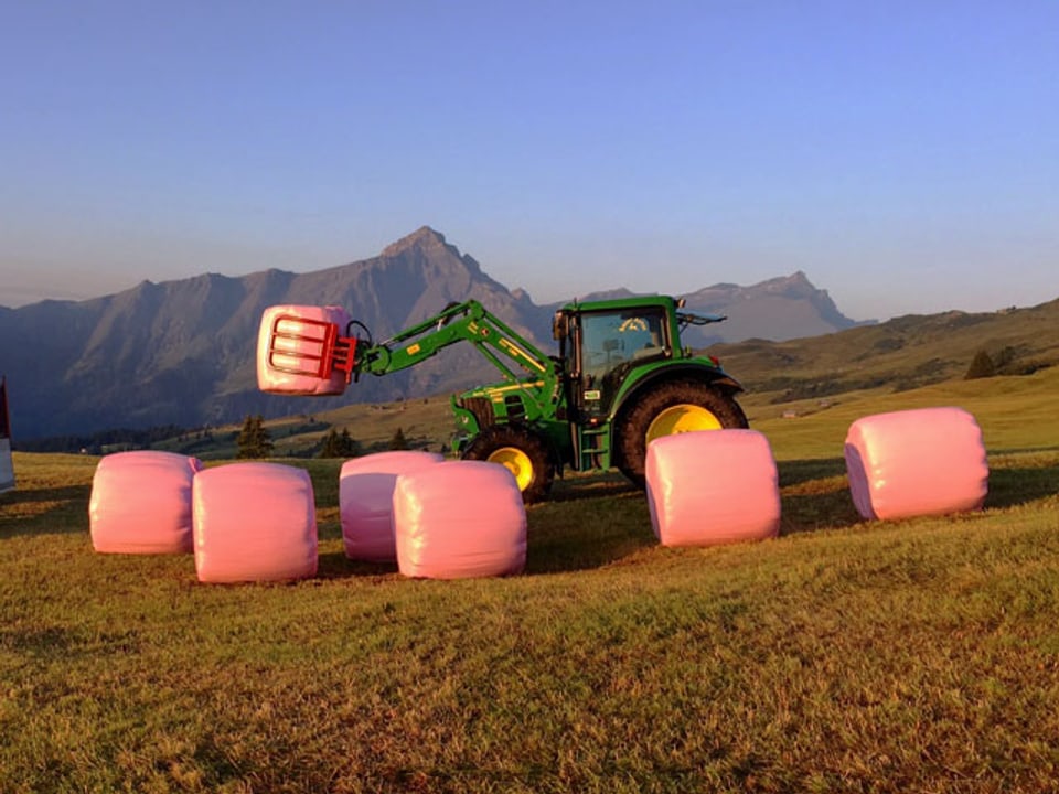 Ein Traktor in einer Berglandschaft hebt rosa Heuballen an.