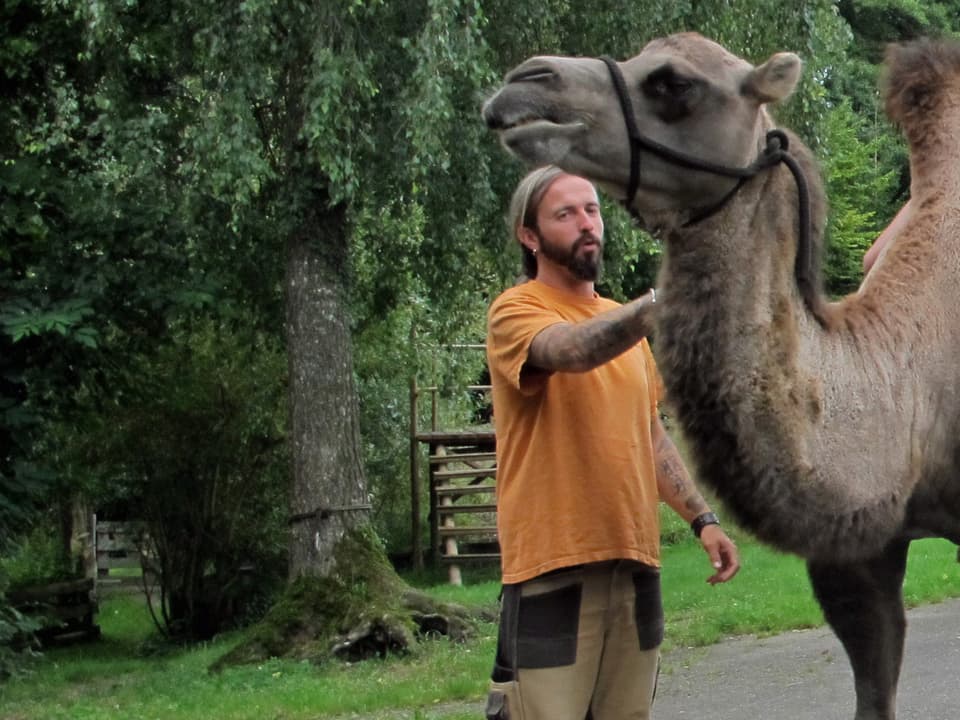 Tierpfleger Ulli Runge steht neben einem Kamel.