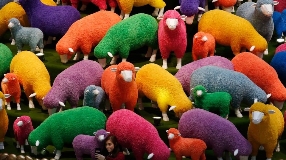 Farbige Schafe in einem Einkaufszentrum von Hongkong. 
