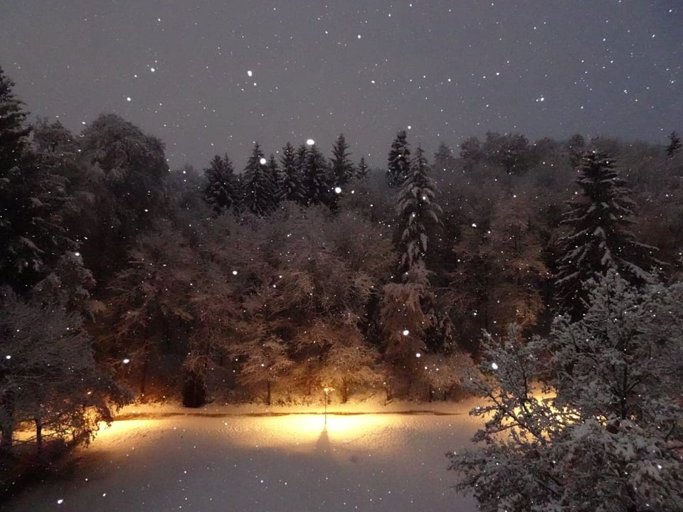 Leicht verschneite Landschaft in der Nacht