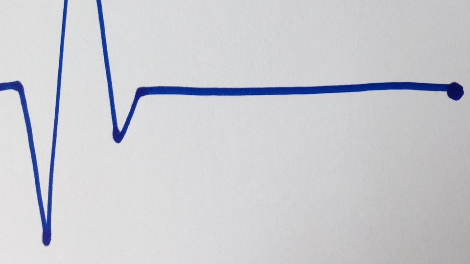 EKG-Diagramm mit  Herzstillstand gezeichnet von Annette König