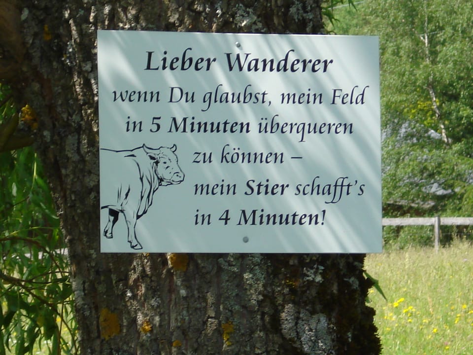 Gefunden in Seefeld/Tirol.