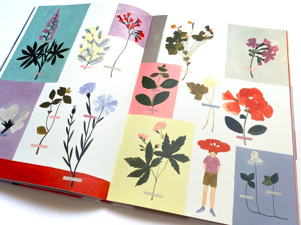 Doppelseite eines Buchs mit unterschiedlichen gezeichneten Blumen.