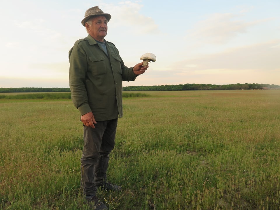 Zsigmond Mavranyi auf der grünen Weide.