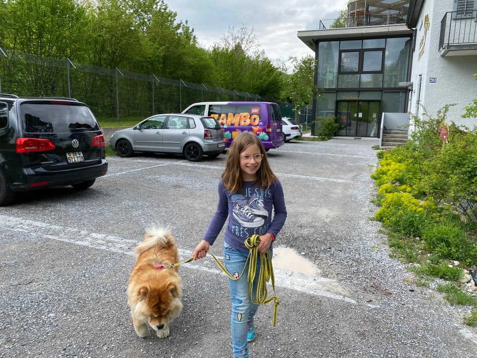 Jael spaziert mit einem Chow-Chow Hund. 
