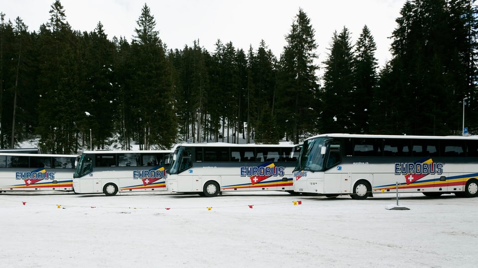 Vier Eurobusse auf einem schneebedeckten Parkplatz in der Lenzerheide.
