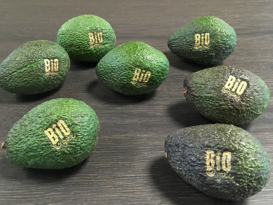 Avocado mit Bio-Branding-Logo