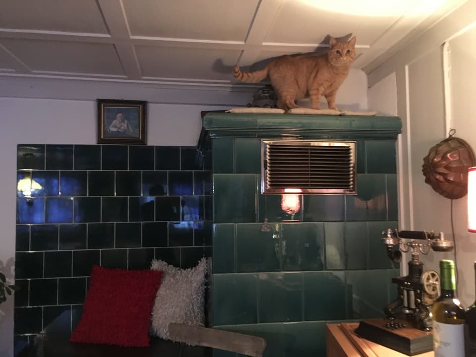 Kachelofen und Katze oben drauf. 