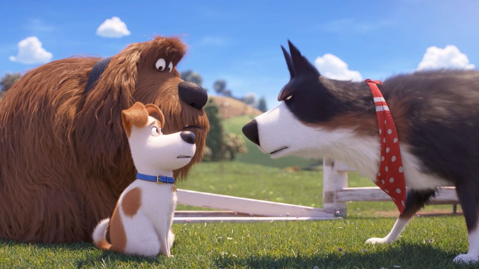 Drei animierte Hunde. Ein grosser, zotteliger und ein kleiner Terrier sitzen einem Schäferhund gegenüber.