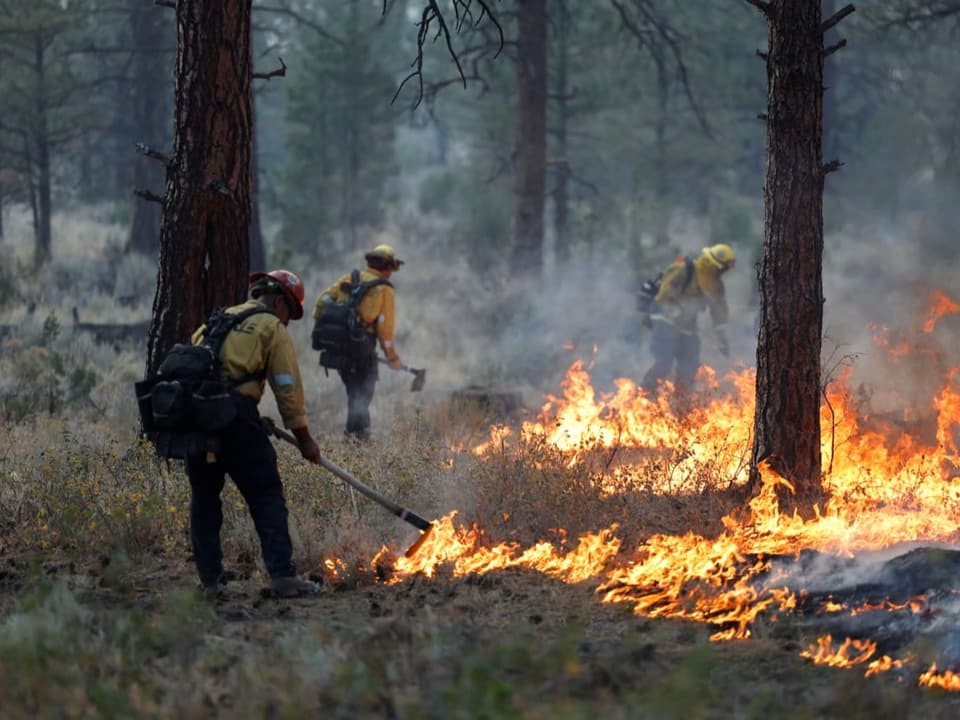 Feuerwehrleute versuchen einen Waldbrand in Kalifornien zu löschen.
