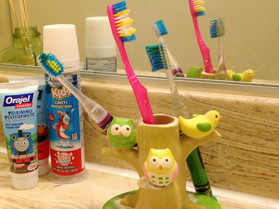 Bunter Kinderzahnbürsten und Kinderzahncreme auf einem indgerechten Zahnbürstenhalter