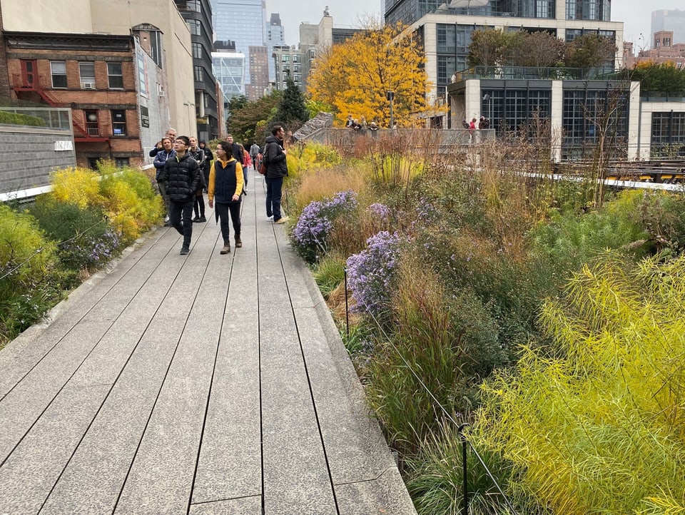 Die begrünte Hochtrasse High Line zieht sich wie ein grüner Strich durch New York City.
