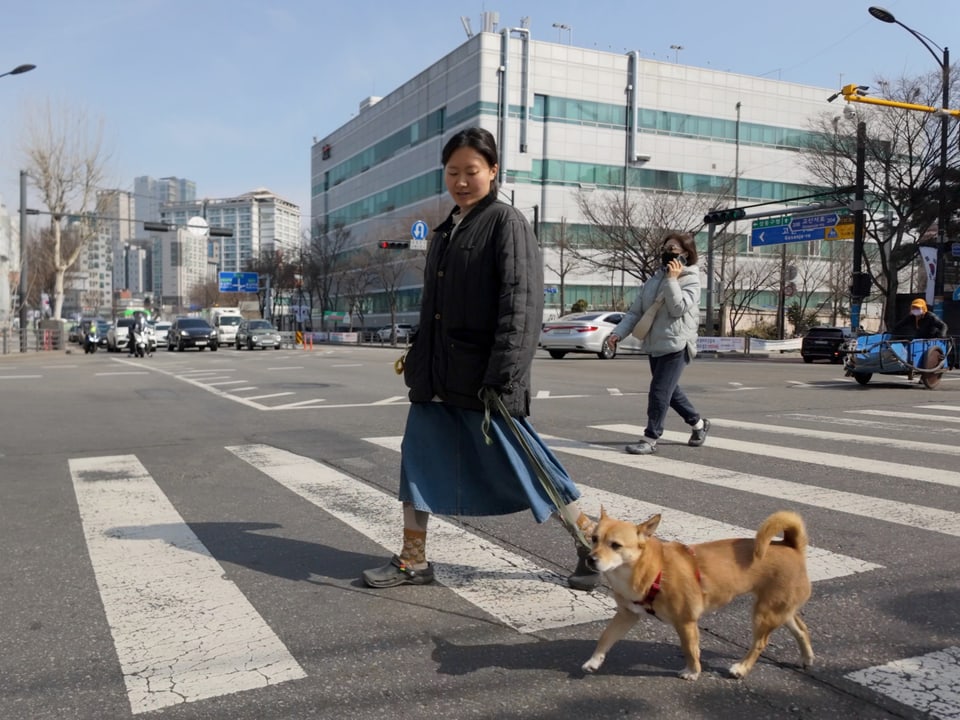 Person überquert eine Strasse in der Stadt mit einem Hund an der Leine.