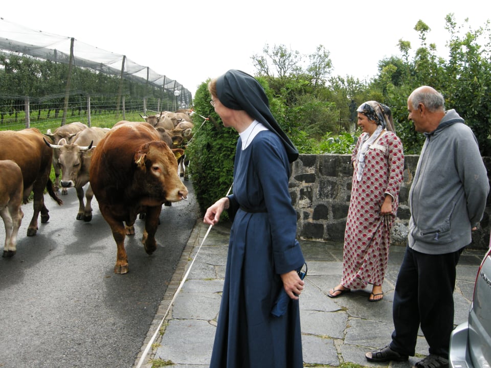 Eine Nonne und die Eltern der Flüchtlingsfamilie stehen am Strassenrand, Kühe gehen vorbei.