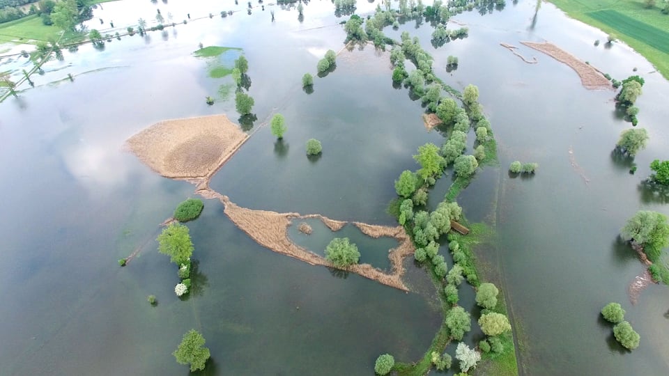 Überschwemmungen Vor Pfingsten kam es im Mittelland zum Teil zu Überschwemmungen, so in Maschwanden.