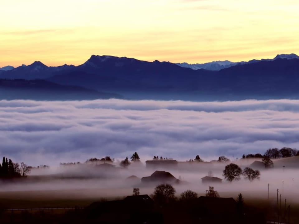 Morgenstimmung mit Nebel und gelbem Himmel. 