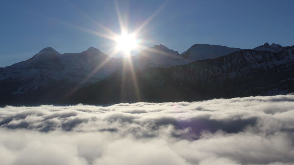 Blick von Beatenberg über ein Nebelmeer zur wolkenlosen Jungfrau.
