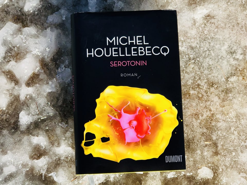 «Serotonin» von Michel Houellebecq liegt auf eisigem Untergrund