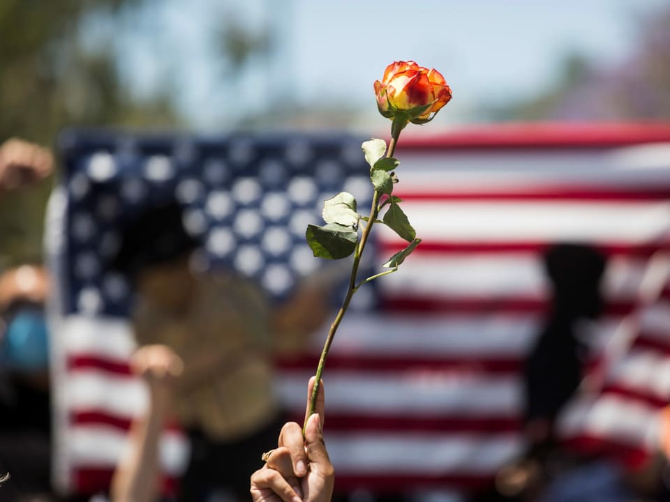 Hand mit Rose vor US-Flagge.