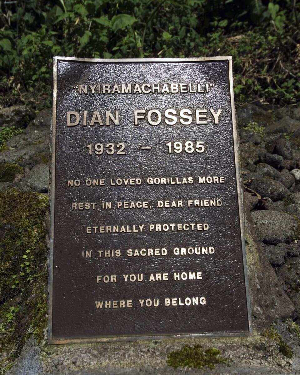Der Grabstein von Dian Fosseys beim Karisoke Research Center in Ruanda.
