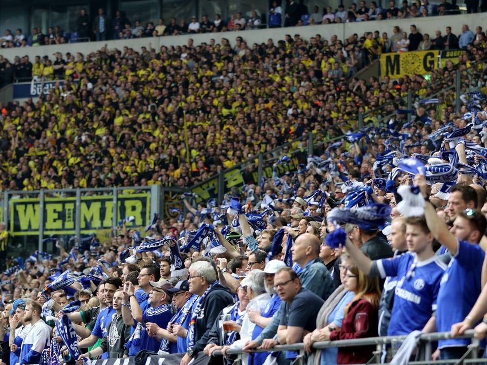 Schalke- und BVB-Fans