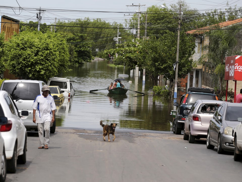 Ein Teil einer Strasse ist überschwemmt. Menschen sitzen in einem Boot. Davor spaziert ein Hund auf der Strasse.