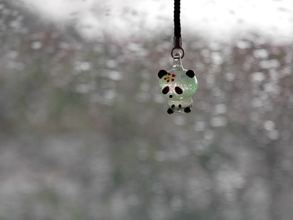 Ein kleiner Plastik-Pandabär hängt vor der Windschutzscheibe.