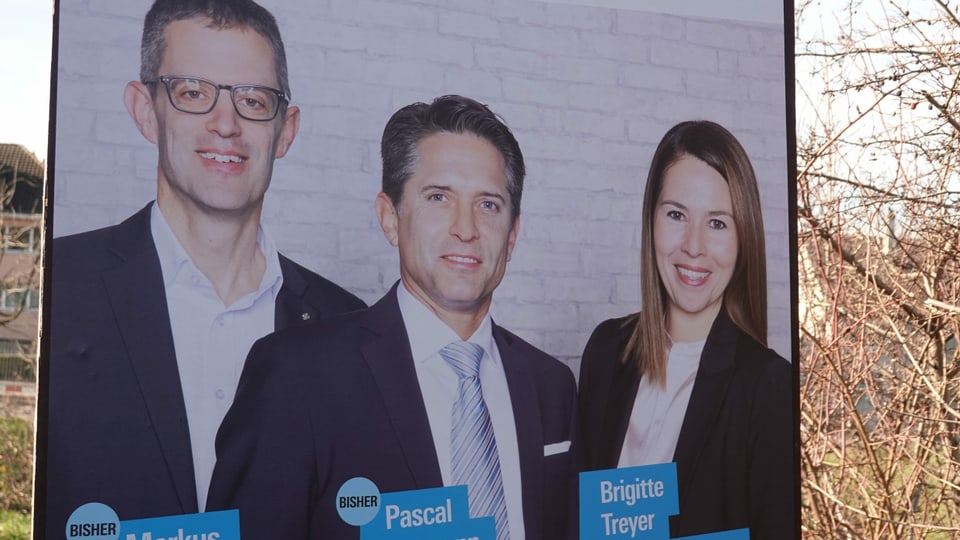 Die FDP will mit Brigitte Treyer wieder drei Sitze holen. Wahlplakat der FDP Arlesheim
