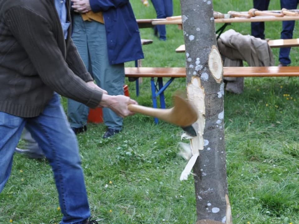 Mann fällt einen Baum.