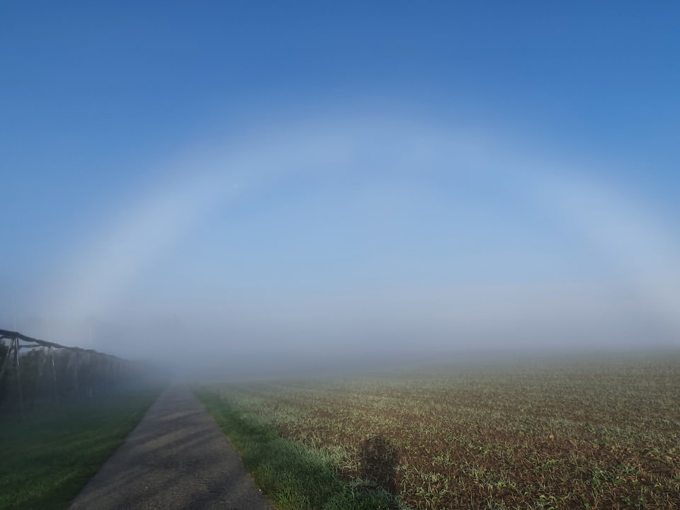 Heute morgen auf dem Spaziergang entdeckt: einen "Nebelbogen"
