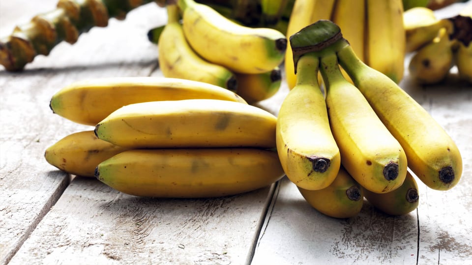 Die Banane – Exotische Erfolgsfrucht