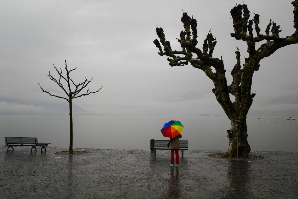 Ein farbiger Regenschirm vor dem grauen See.