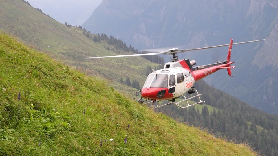Helikopter im Suchgebiet